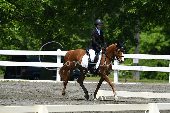 HSM_1562