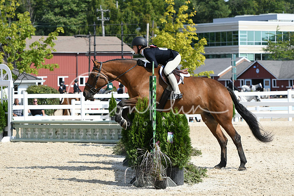 HSM_6312