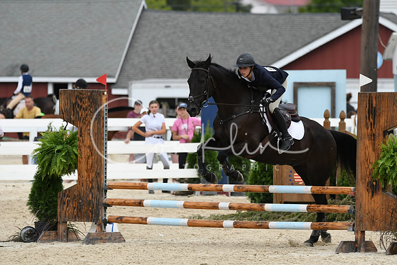 HSM_3431