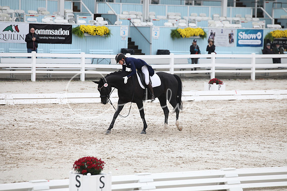 5H2A7735