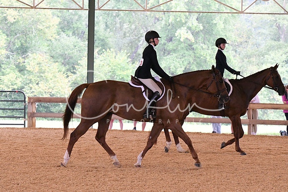 HSM_2356