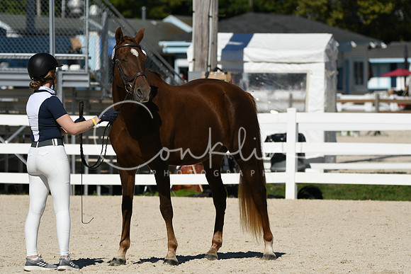 HSM_4609