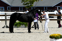 HSM_4744