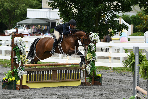 HSM_4178