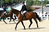 HSM_9293
