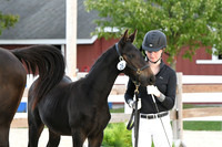 HSM_6340