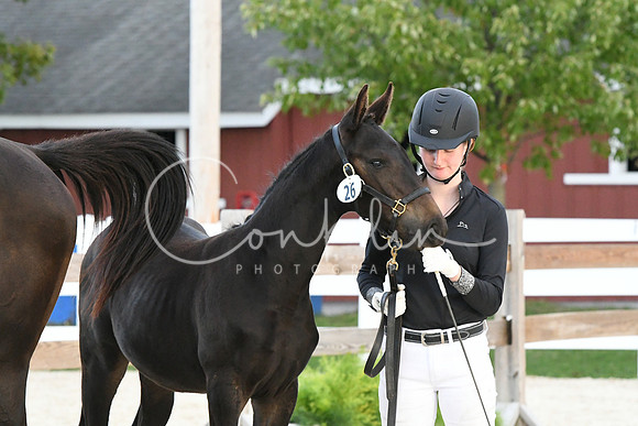 HSM_6340