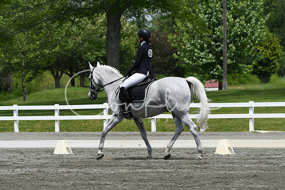 HSM_0493