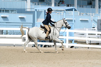 HSM_6163