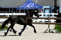 HSM_4784