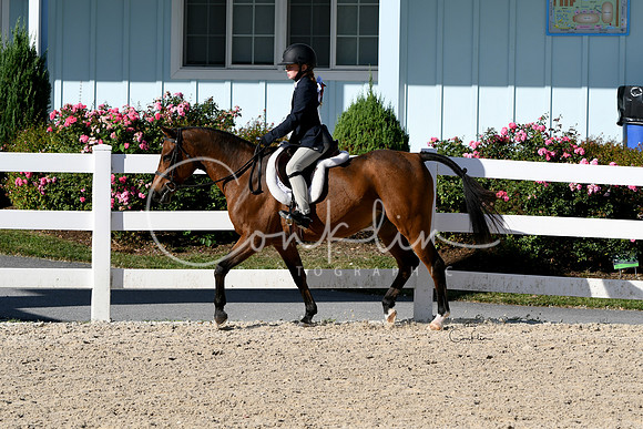 HSM_2096-1