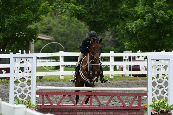 HSM_4198