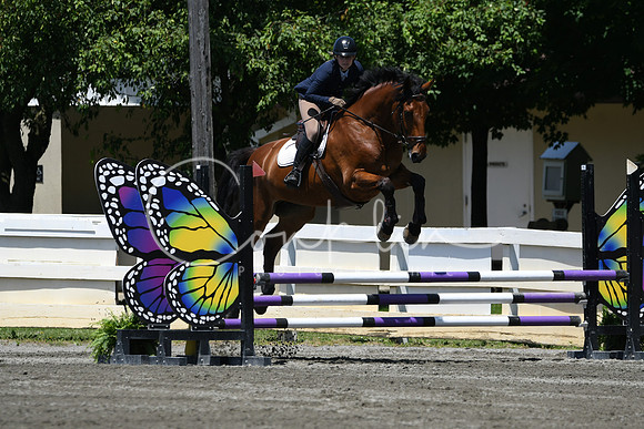 HSM_3141