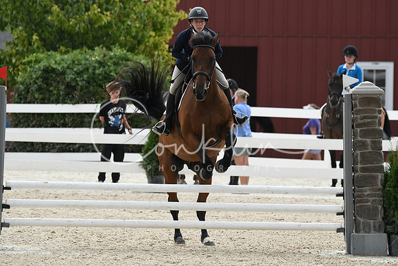 HSM_3161