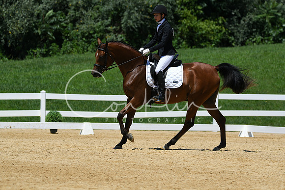 HSM_1495