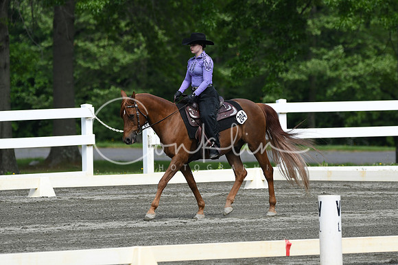 HSM_2620