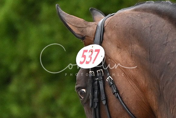 MAK_0950