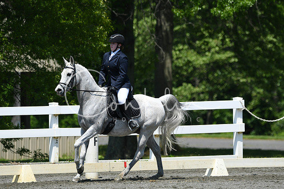 HSM_1526