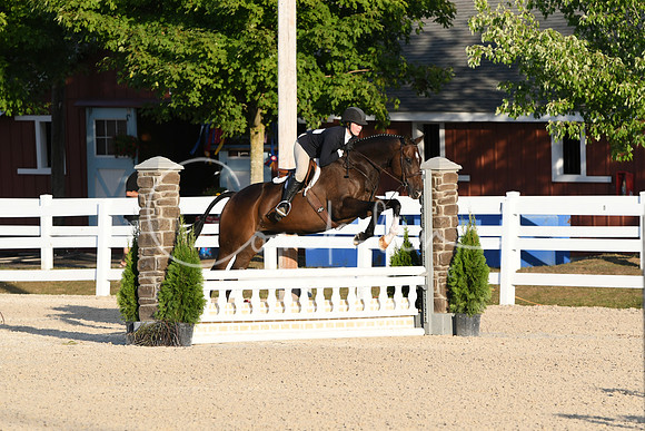 HSM_0196