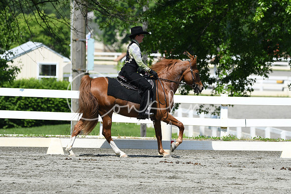 HSM_2822