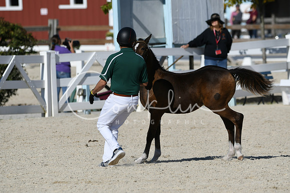 HSM_5268
