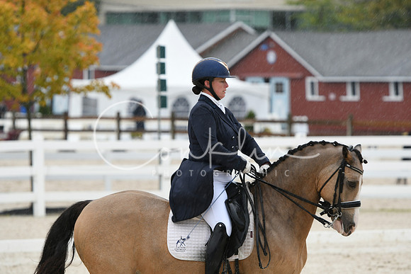 HSM_0239