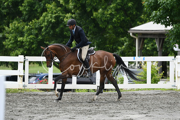 HSM_4194
