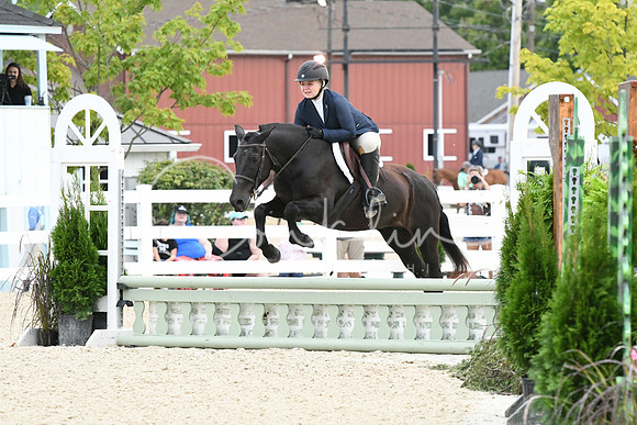 HSM_4985