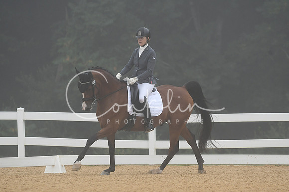 HSM_0851