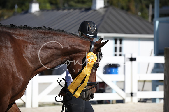 BW182547