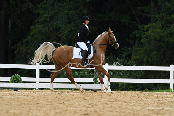 HSM_0250