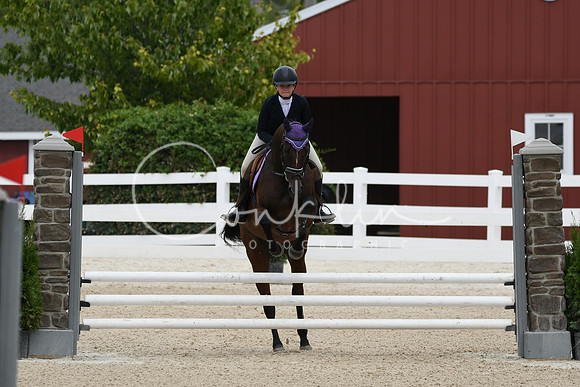 HSM_2719