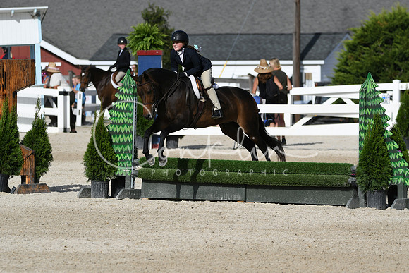 HSM_4155