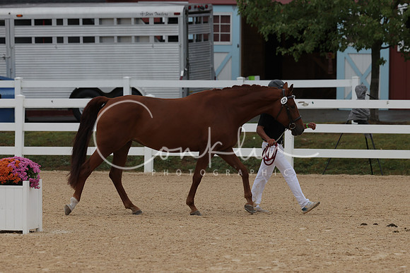 HLK_4220