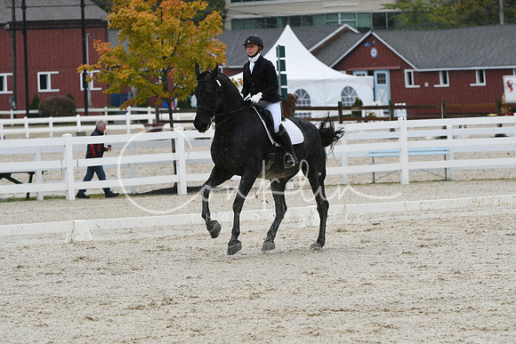 HSM_0453