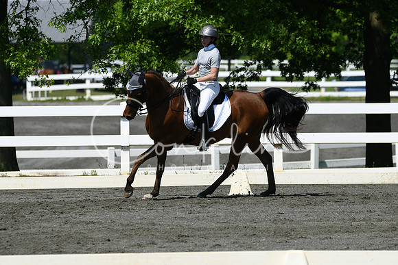 HSM_1245