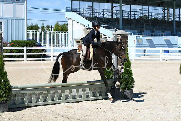 HSM_2808