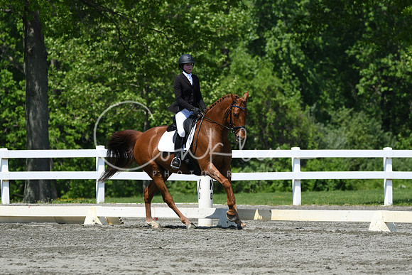 HSM_2311