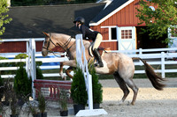 HSM_0245