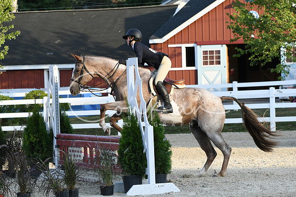 HSM_0245