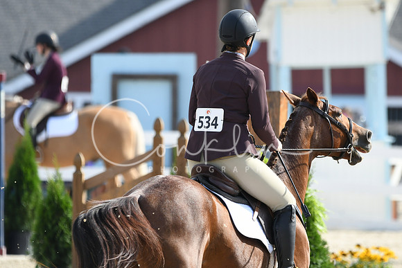 HSM_1644