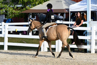 HSM_4532