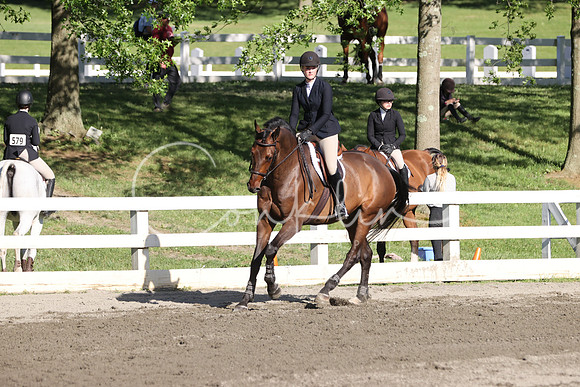 RJC36936