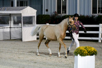 HSM_5882