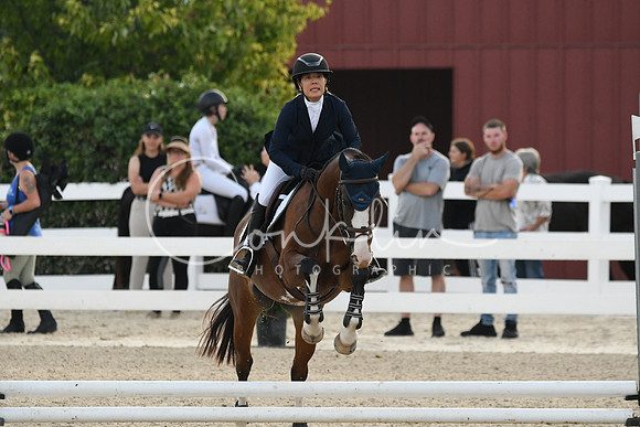 HSM_0937