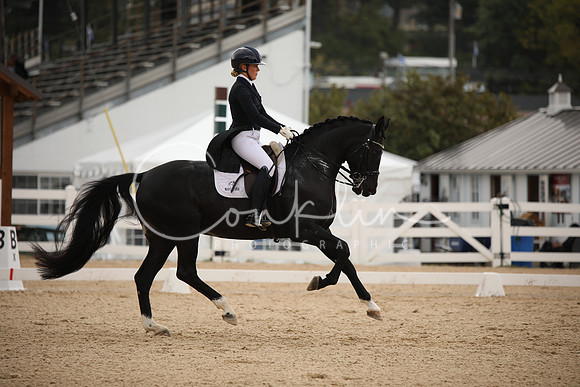 BW241394