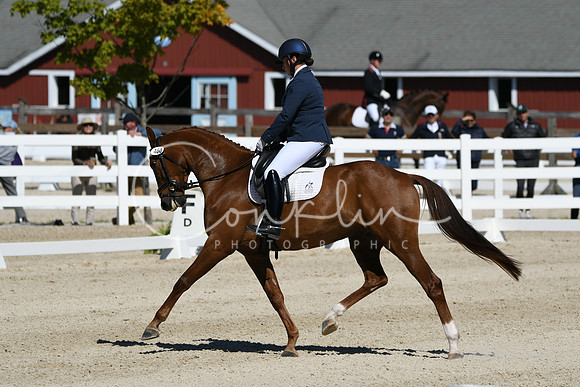 HSM_6877