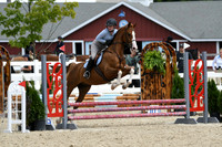 HSM_2520