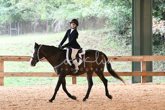 HSM_5338