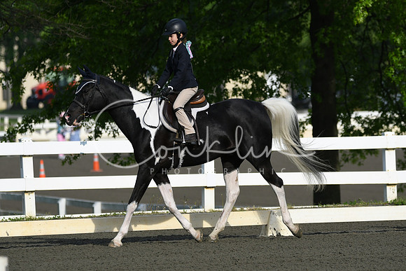 HSM_8646